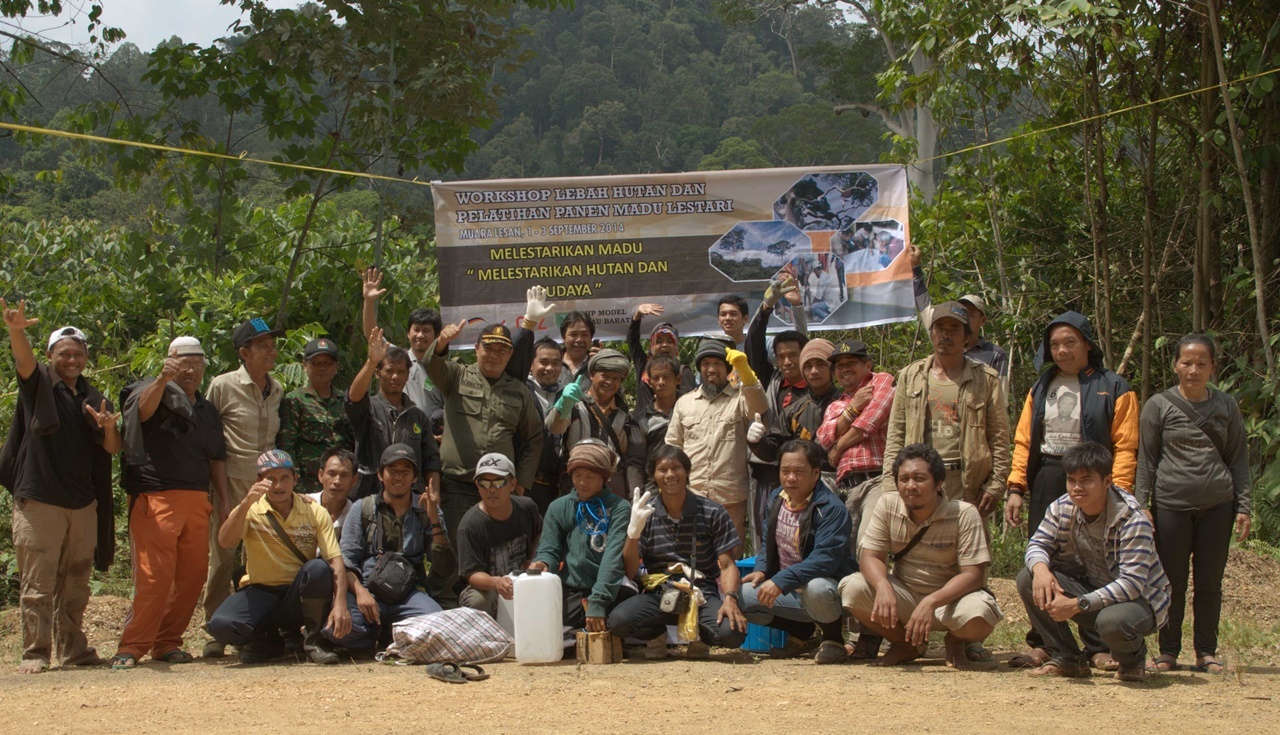 Panen madu hutan berau