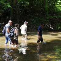 wet wet wet - crossing Setulang river