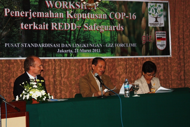 REDD_safeguards_workshop_21_March_2011